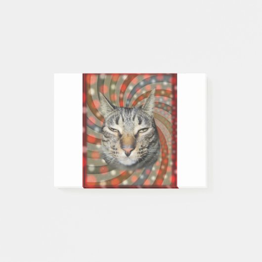 Cool Cat - JE KOPT JE CadeauT! Post-it® Notes (Voorkant)