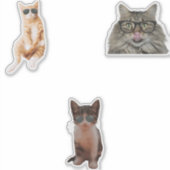Cool Cat Memes Sticker (Voorkant)