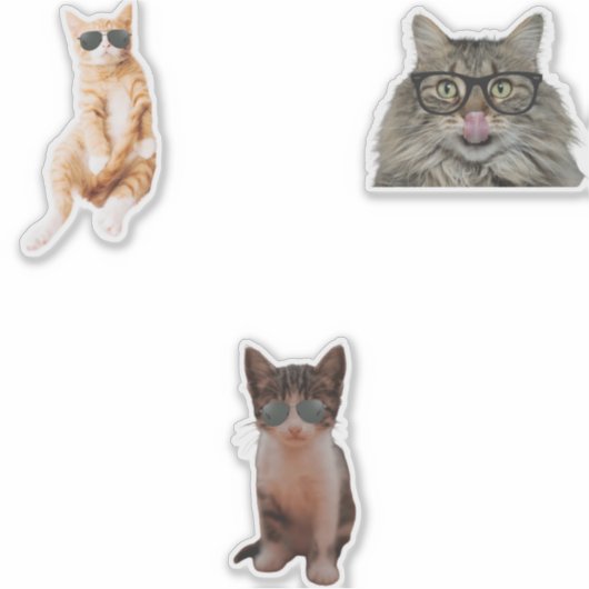 Cool Cat Memes Sticker (Voorkant)
