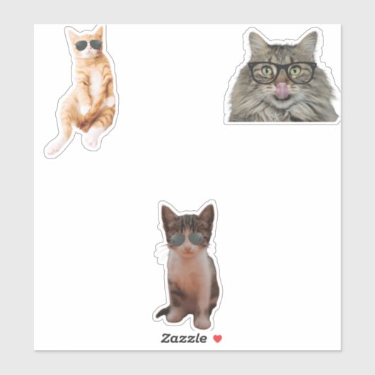 Cool Cat Memes Sticker (Vel)