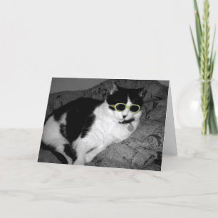 Cool Cat met verjaardagskaart voor zonnebrillen Kaart