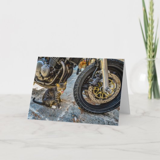 Cool cat motorfiets grappig wenskaart kaart (Voorkant)