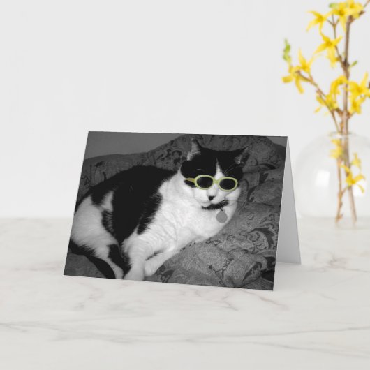 Cool Cat w Zonnebril verjaardagskaart Kaart (Gele Bloem)