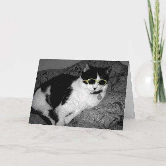 Cool Cat w Zonnebril verjaardagskaart Kaart (Voorkant)
