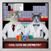 Cool Cats Dig Chemistry Poster (Voorkant)