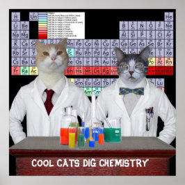 Cool Cats Dig Chemistry Poster
