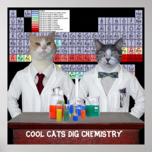 Cool Cats Dig Chemistry Poster