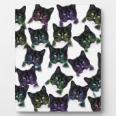 Cool Cats Fotoplaat (Voorkant)