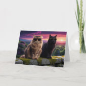 Cool Cats Kaart (Voorkant)