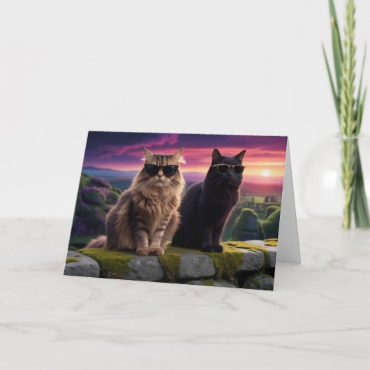 Cool Cats Kaart (Voorkant)