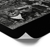 Cool Cats Kittens Meow Punk Rock Band Funny Cat Lo Poster (Hoek)