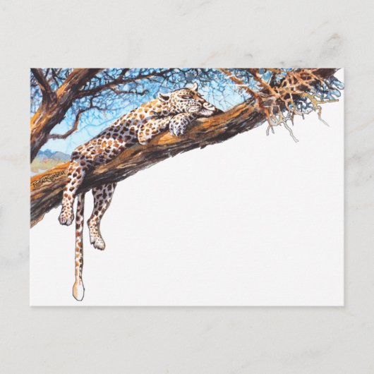 Cool cheetah briefkaart (Voorkant)