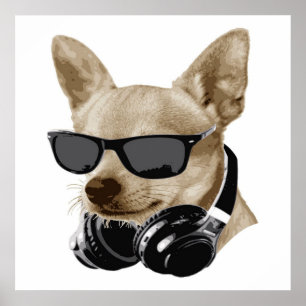 Cool Chihuahua   Chihuahua Wearing Glasses Poster