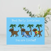 Cool Chocolade Labradors Pool Party Kaart (Staand voorkant)