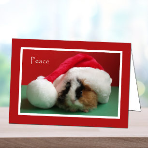 Cool Christmas Guinea Pig Card Feestdagen Kaart
