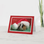 Cool Christmas Guinea Pig Card Feestdagen Kaart (Voorkant)