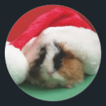 Cool Christmas Guinee Pig Stickers<br><div class="desc">Deze stickers zijn voorzien van een schattig cavia met een kerstmuts. Deze stickers maken een perfect kinder vakantiegift voor dat bijzondere kind dat van cavia's houdt! Copyright Cool Cavy Guinee Pig Shop</div>