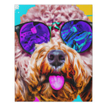 Cool Cockapoo