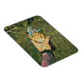 Cool cold freezing ice cream magneet (Rechterzijde)