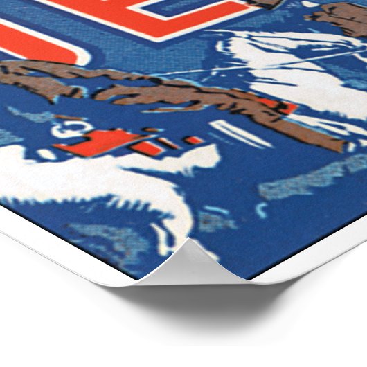 Cool Colorful Denver Poster (Hoek)