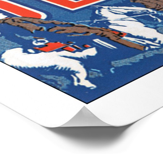 Cool Colorful Denver Poster (Hoek)