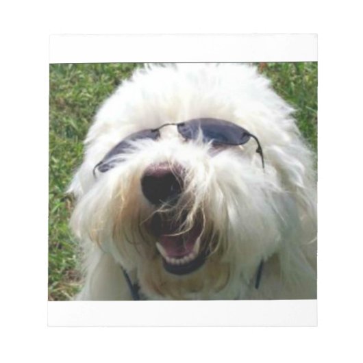 Cool Coton de Tulear Notitieblok (Voorkant)