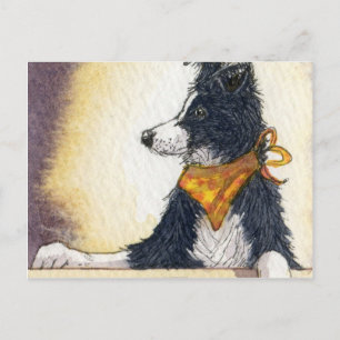 Cool cowboy collie houdt een oog... briefkaart