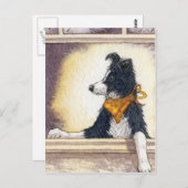 Cool cowboy collie houdt een oog... briefkaart (Voorkant / Achterkant)