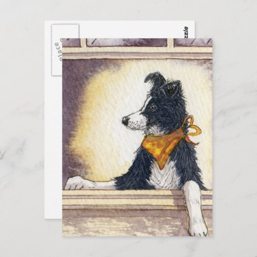 Cool cowboy collie houdt een oog... briefkaart (Voorkant / Achterkant)