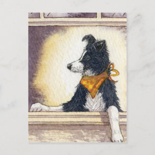 Cool cowboy collie houdt een oog... briefkaart