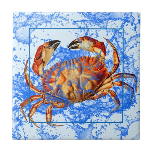 Cool Crab Tegeltje (Voorkant)