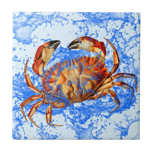 Cool Crab Tegeltje (Voorkant)