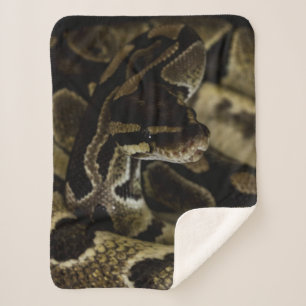 Cool Dark Snake Sherpa Deken