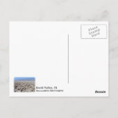 Cool Death Valley Briefkaart! Briefkaart (Achterkant)