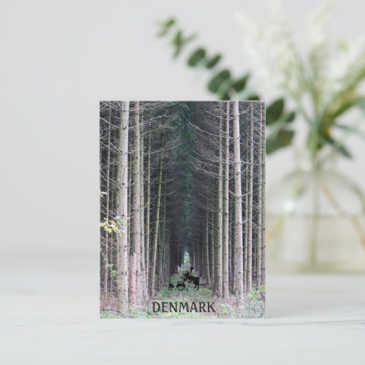 Cool Denmark Heks Briefkaart! Briefkaart (Staand voorkant)