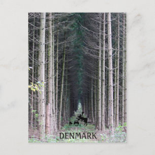 Cool Denmark Heks Briefkaart! Briefkaart