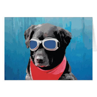 Cool Dog Black Lab Red Bandana Blue Goggles