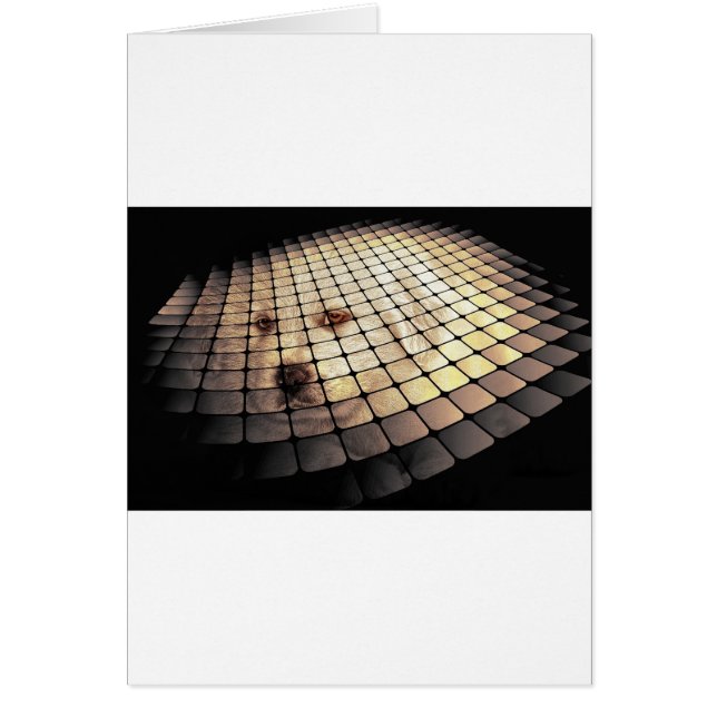 Cool Dog Digital Art (Voorkant)