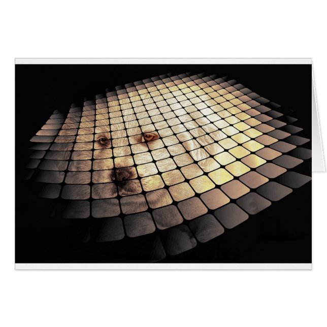 Cool Dog Digital Art (Voorkant Horizontaal)