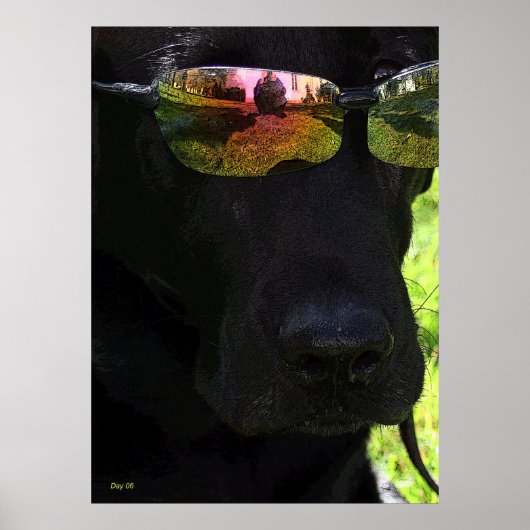 Cool Dog Poster (Voorkant)