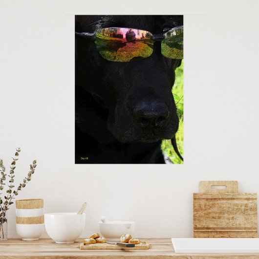 Cool Dog Poster (Keuken)