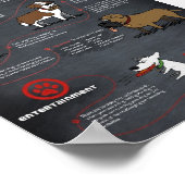 Cool Dog Poster (Hoek)