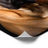 Cool Dog Sungles Bullmastiff Funny Look  Poster (Hoek)