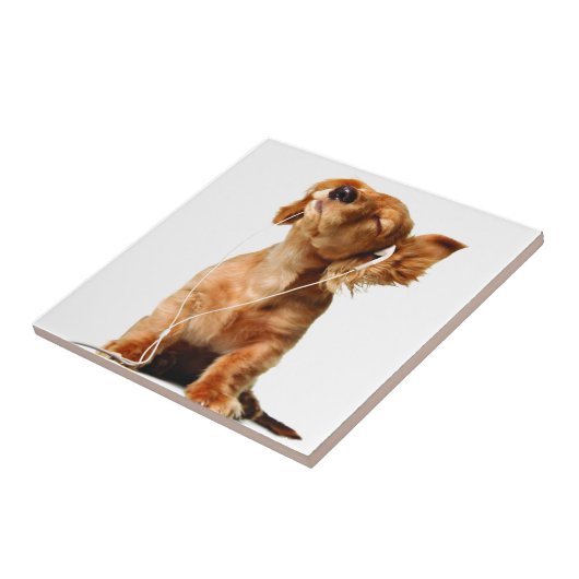 Cool Dog Tegeltje (Zijkant)