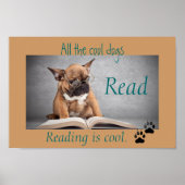 Cool Dogs Read Literacy Poster (Voorkant)