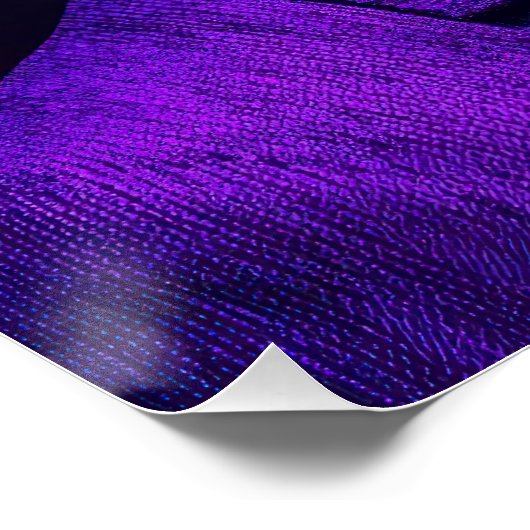 Cool Donkey with Sunglasses and Neon Suit Urban Perfect Poster (Hoek)