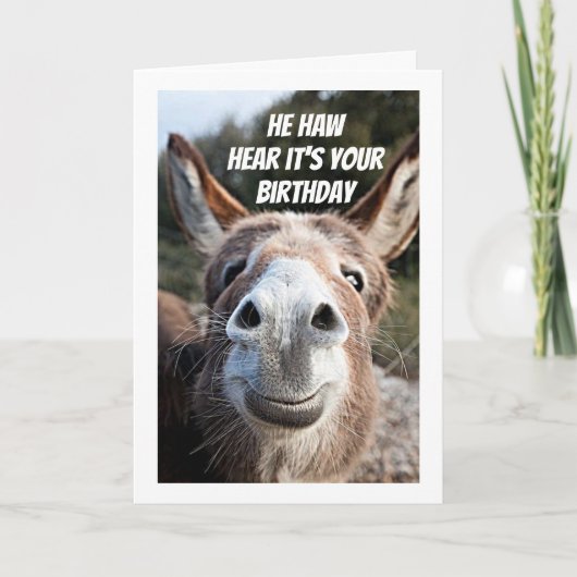 **COOL DONKEY ZEGT "HAPPY BIRTHDAY" ZISTER KAART (Voorkant)