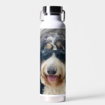 "Cool Dood! bernedoodle in zonnebril water Fles