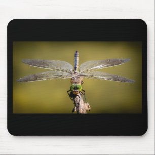 Cool Dragonfly Muismat