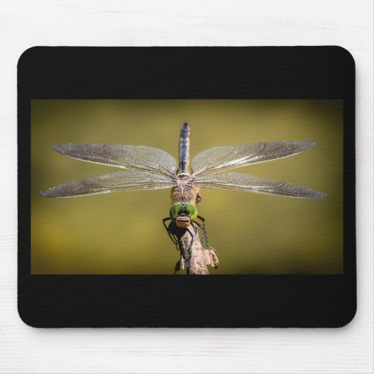 Cool Dragonfly Muismat (Voorkant)